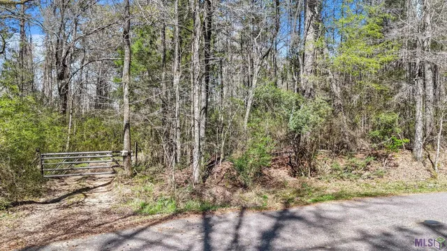 $69,000 | Tbd Beechgrove Road, Clinton, LA 70722