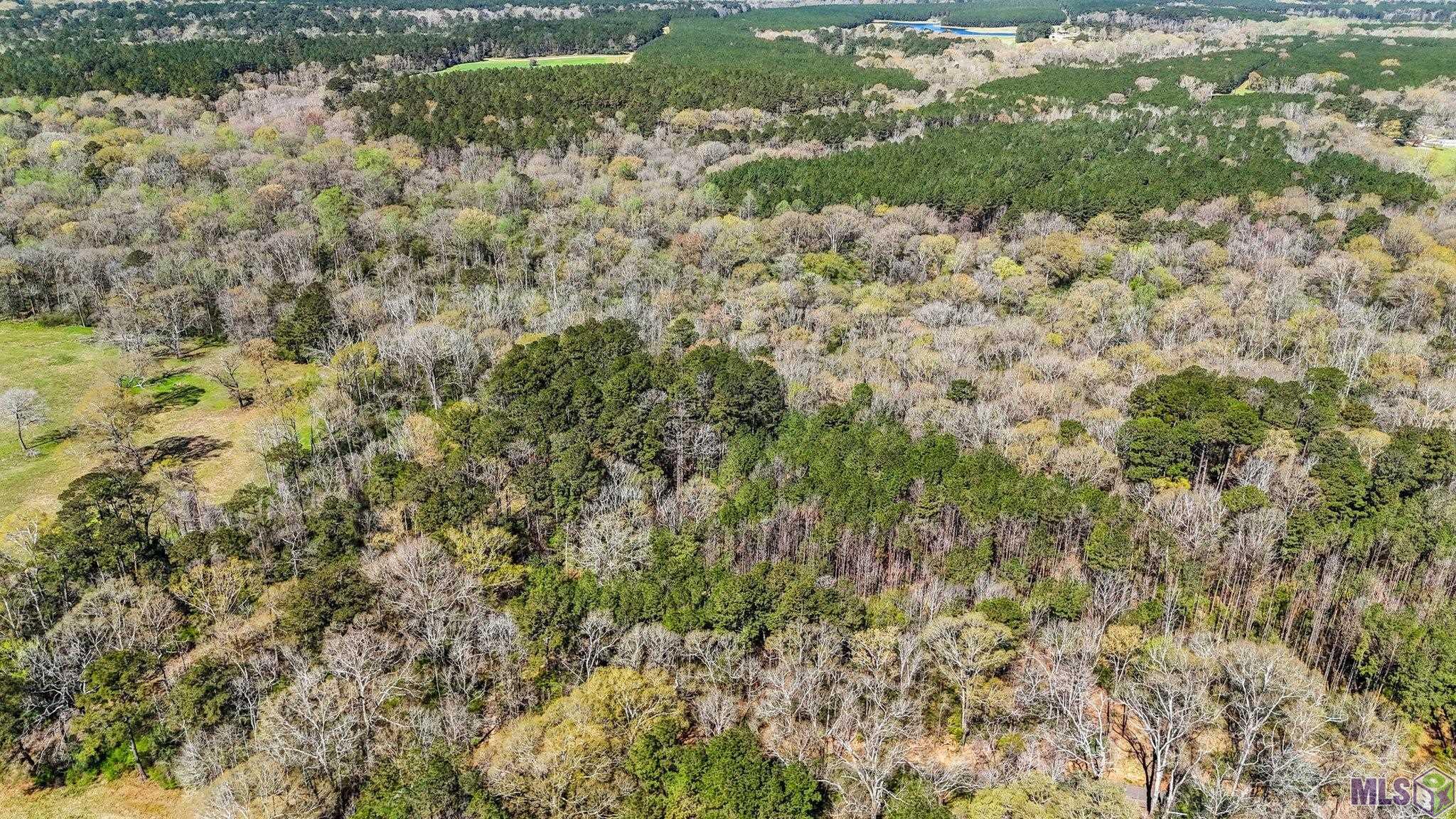 Tbd Beechgrove Road Clinton, LA 70722 - Photo 3 of 10