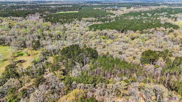 $69,000 | Tbd Beechgrove Road, Clinton, LA 70722