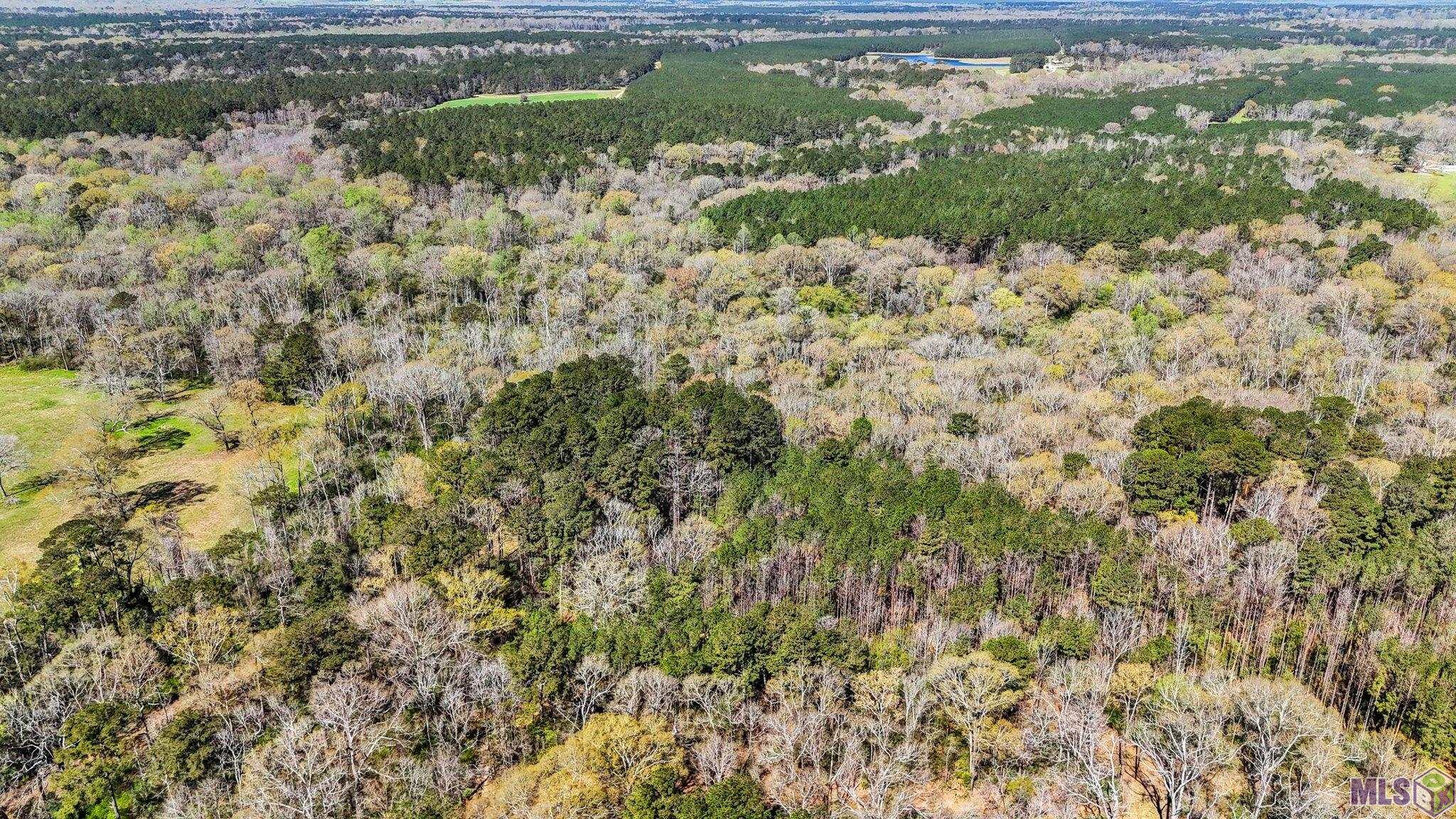 Tbd Beechgrove Road Clinton, LA 70722 - Photo 4 of 10