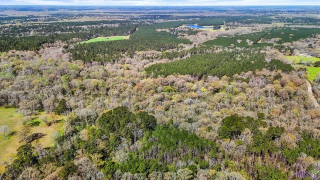 $69,000 | Tbd Beechgrove Road, Clinton, LA 70722