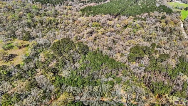 $69,000 | Tbd Beechgrove Road, Clinton, LA 70722