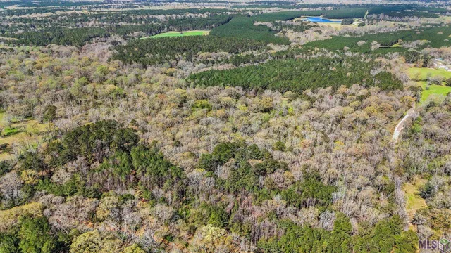 $69,000 | Tbd Beechgrove Road, Clinton, LA 70722