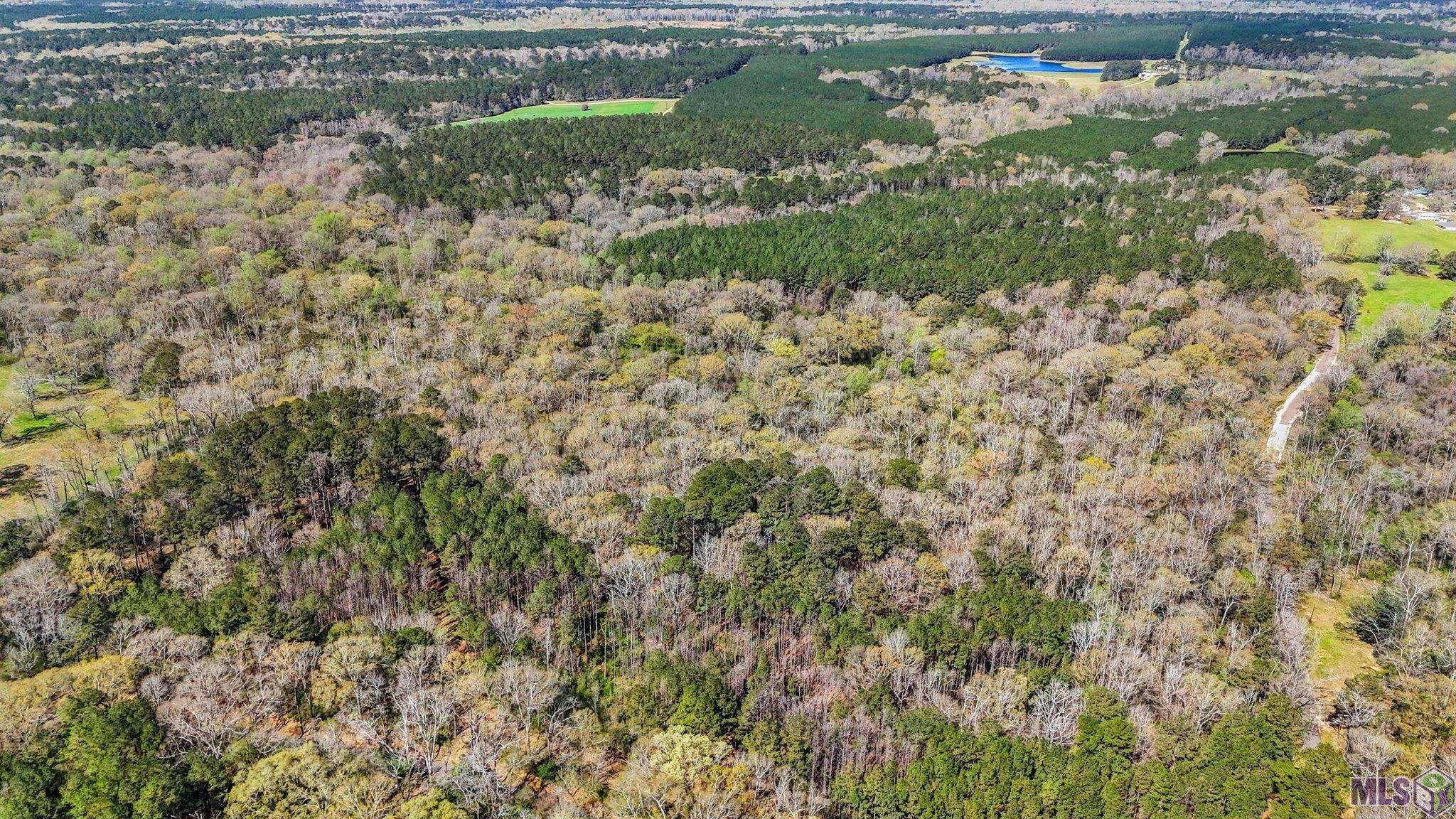 Tbd Beechgrove Road Clinton, LA 70722 - Photo 7 of 10