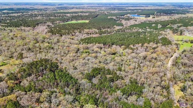 $69,000 | Tbd Beechgrove Road, Clinton, LA 70722