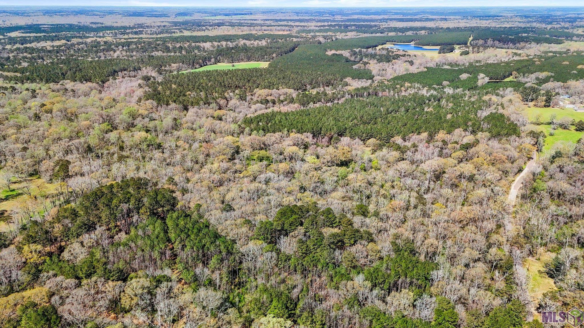 Tbd Beechgrove Road Clinton, LA 70722 - Photo 8 of 10