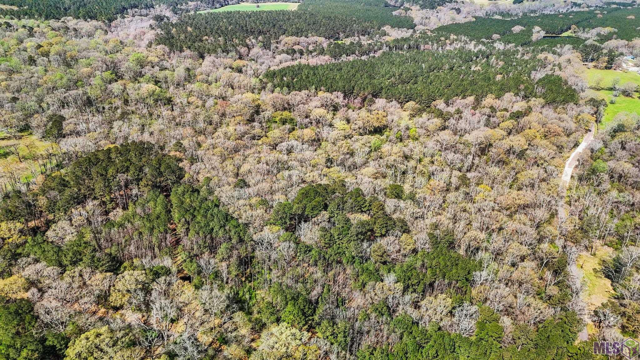 Tbd Beechgrove Road Clinton, LA 70722 - Photo 9 of 10