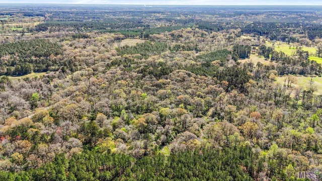 $69,000 | Tbd Beechgrove Road, Clinton, LA 70722