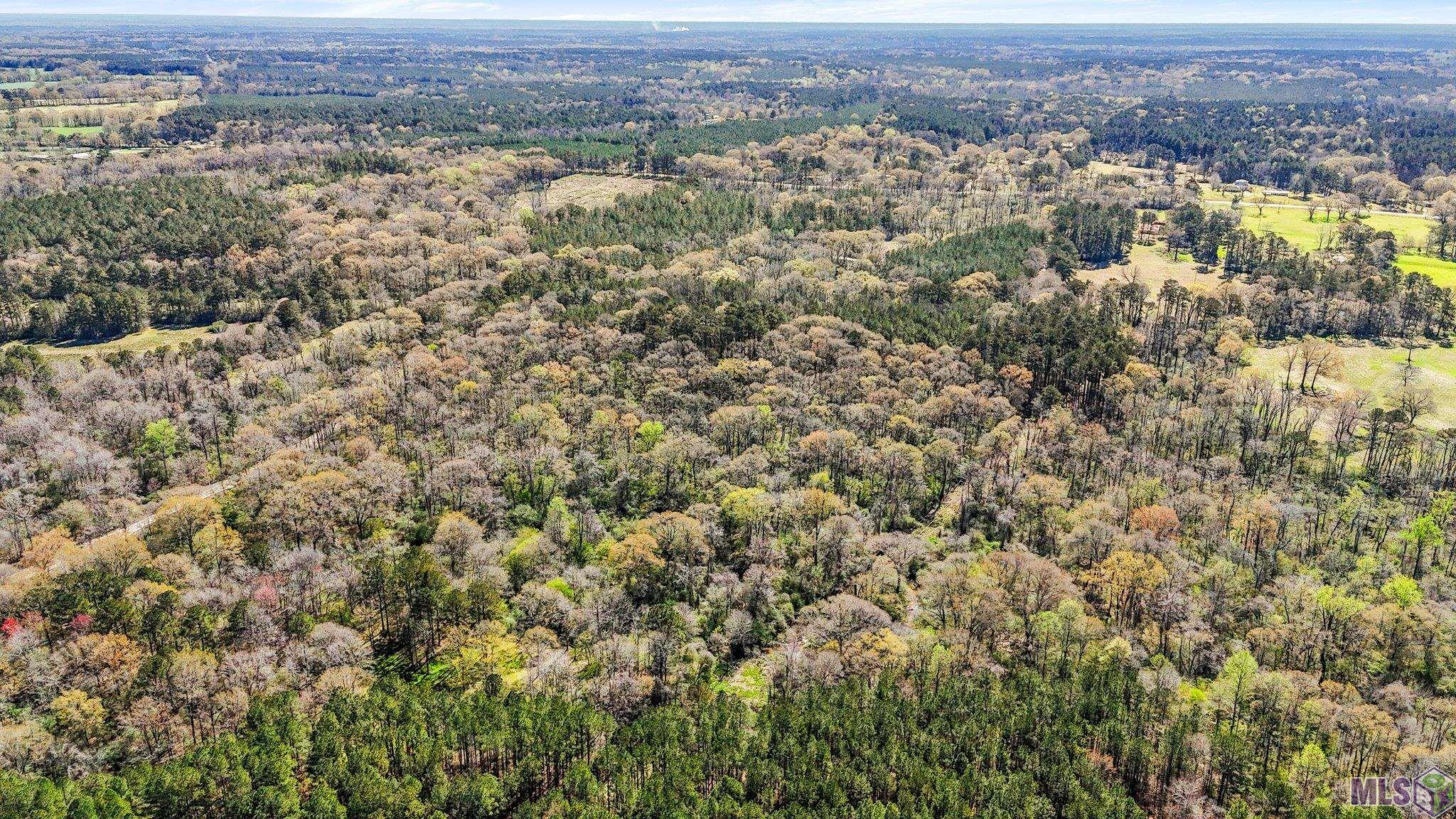 Tbd Beechgrove Road Clinton, LA 70722 - Photo 10 of 10