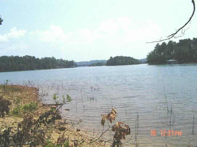 Lot 8 Fairview Cove Road Seneca, SC 29672 - Photo 3 of 5 Gallery Image 3