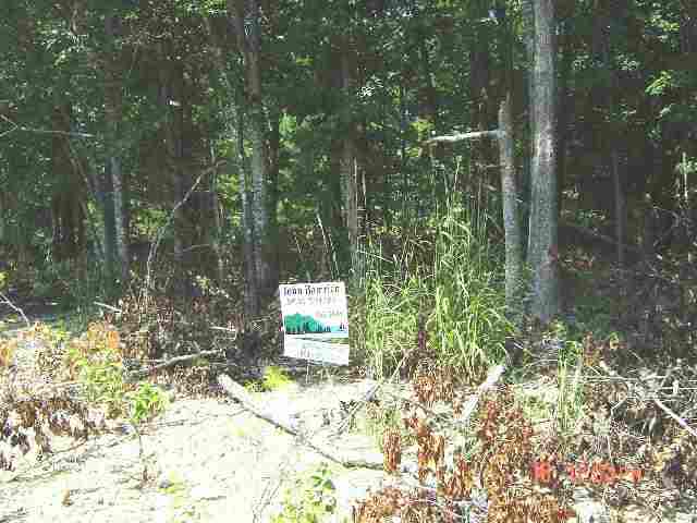 Lot 8 Fairview Cove Road Seneca, SC 29672 - Photo 5 of 5 Gallery Image 5