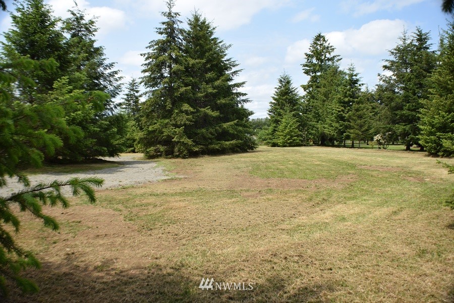 247 Satsop Riviera Loop Elma, WA 98541 - Photo 2 of 18 Gallery Image 2