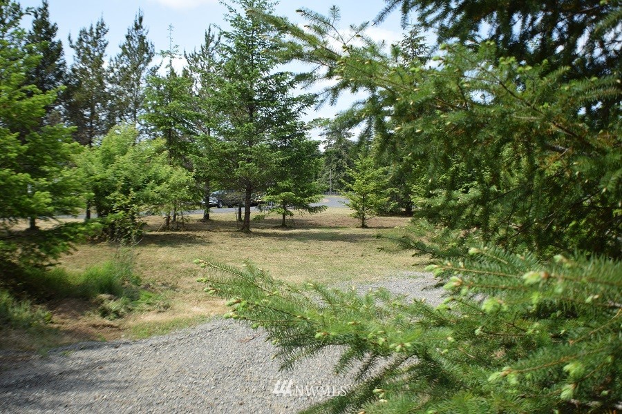 247 Satsop Riviera Loop Elma, WA 98541 - Photo 15 of 18 Gallery Image 15
