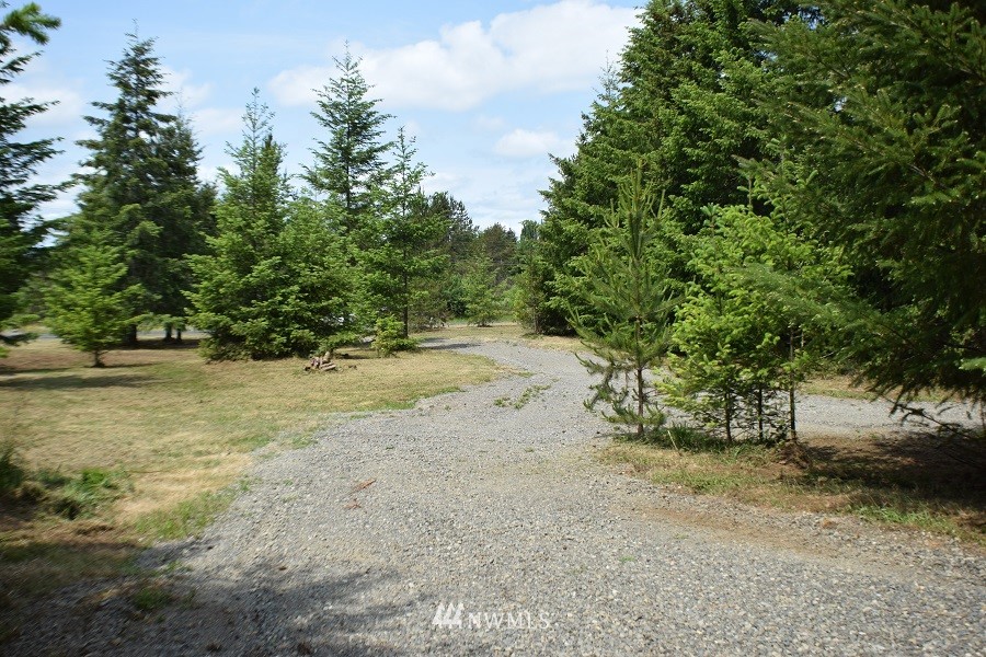 247 Satsop Riviera Loop Elma, WA 98541 - Photo 18 of 18 Gallery Image 18