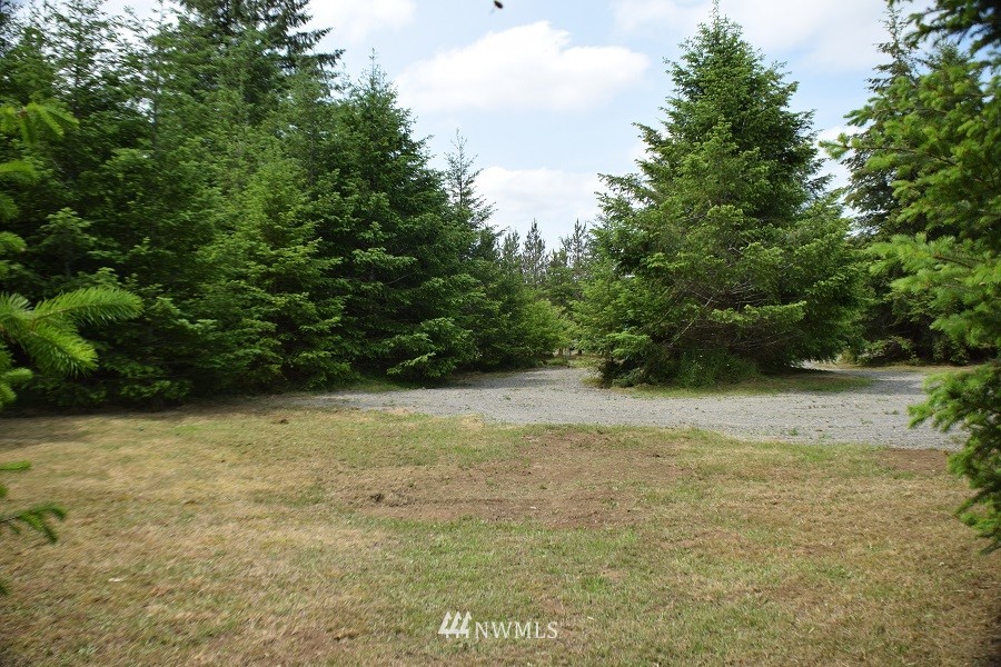 247 Satsop Riviera Loop Elma, WA 98541 - Photo 4 of 18 Gallery Image 4
