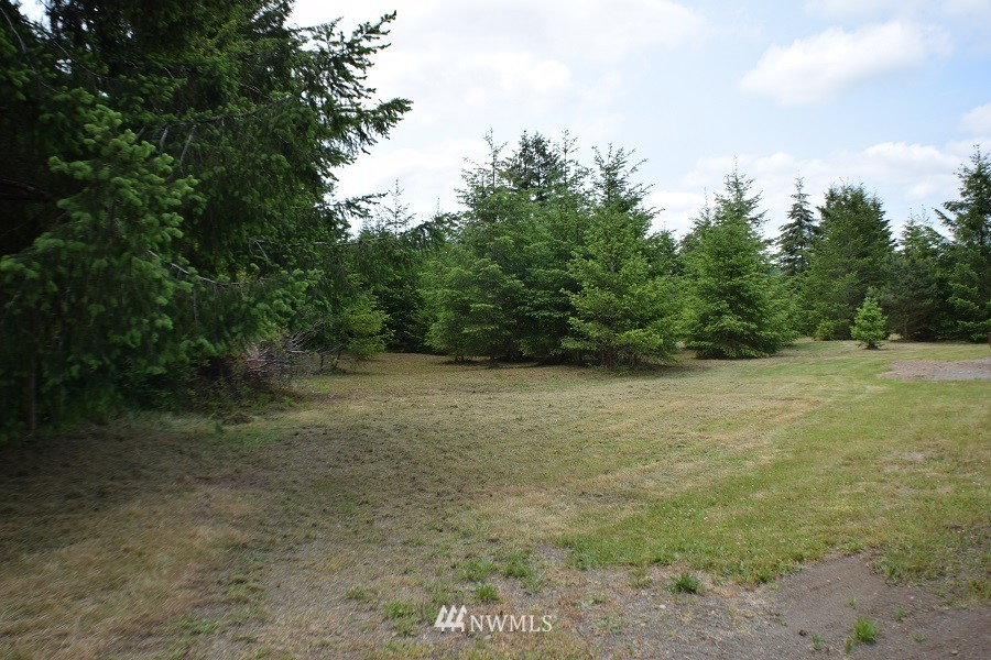 247 Satsop Riviera Loop Elma, WA 98541 - Photo 9 of 18 Gallery Image 9