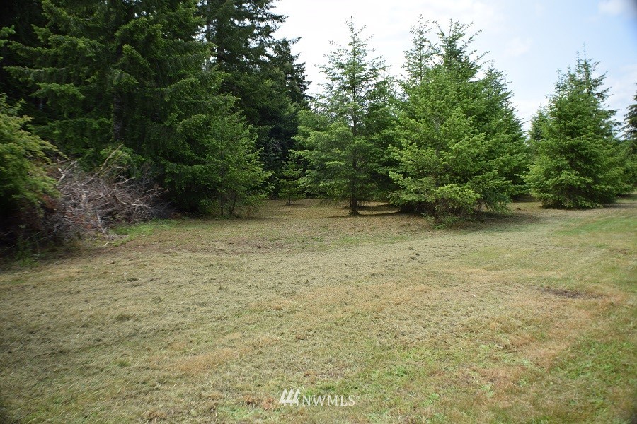 247 Satsop Riviera Loop Elma, WA 98541 - Photo 10 of 18 Gallery Image 10