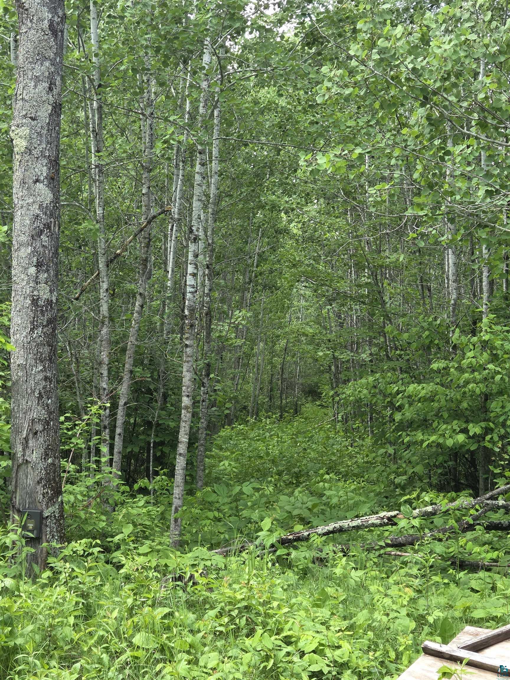Xxx M T Nelson Road Mahtowa, MN 55707 - Photo 11 of 19