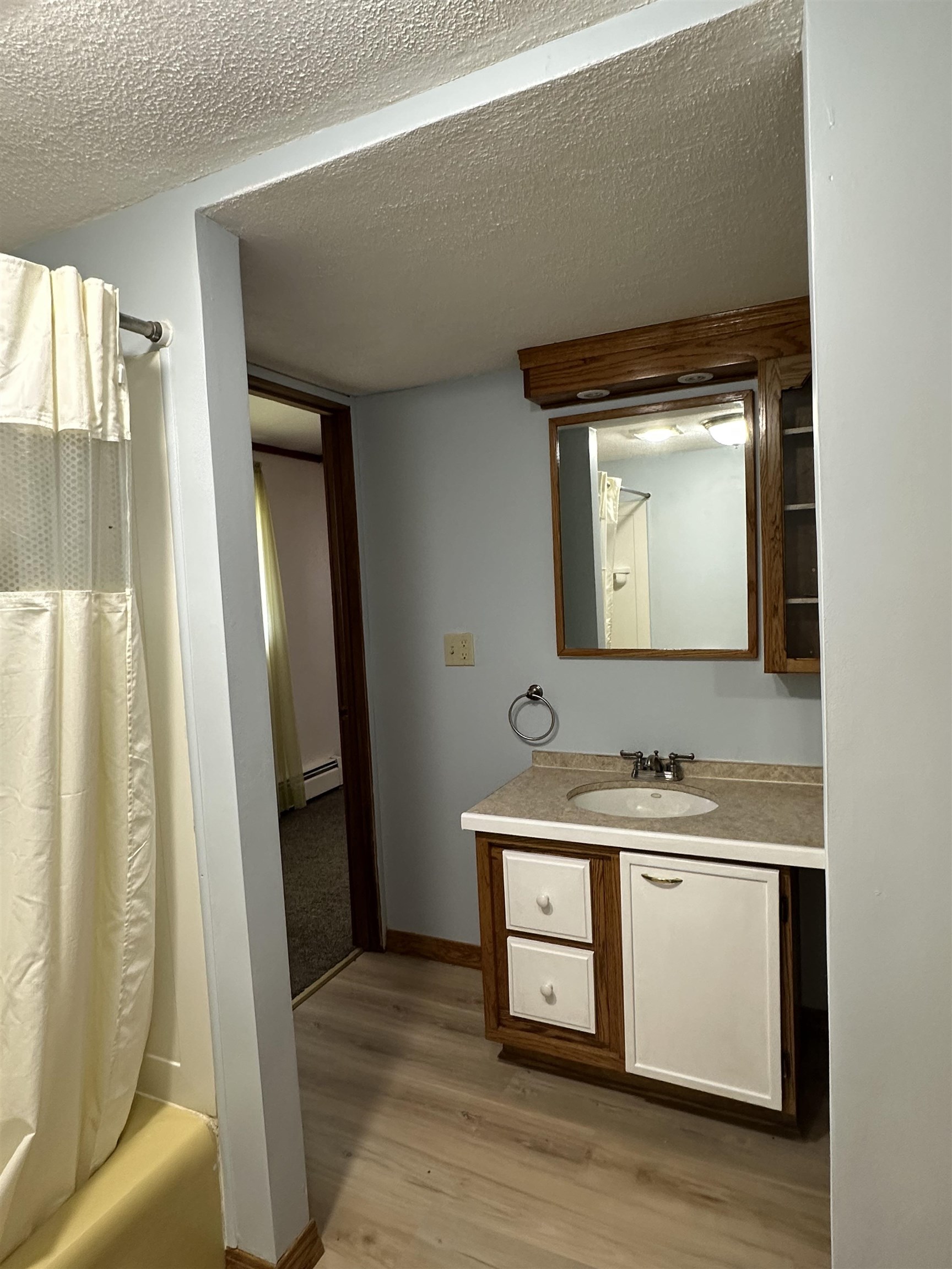 14400-3 3 Mile Road Savanna, IL 61074 - Photo 17 of 19 a bathroom with a sink and a mirror