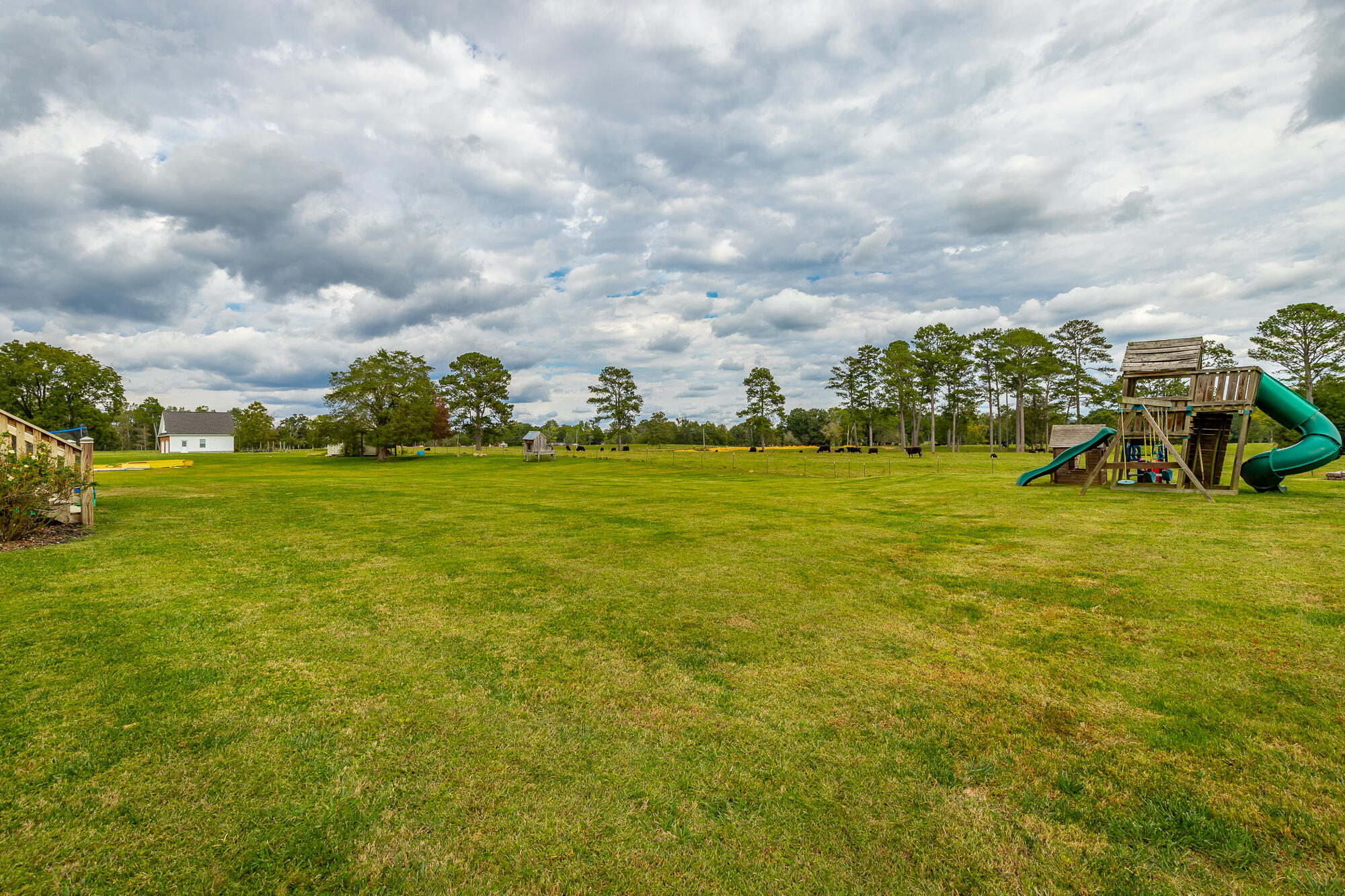 261 Roy Bird Road Rock Spring, GA 30739 - Photo 56 of 66 Back Yard