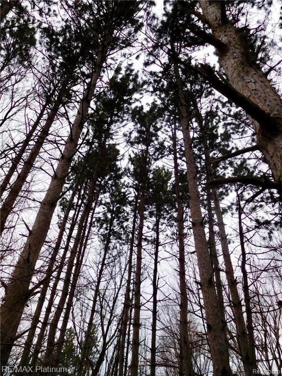 0 West Buno Road Milford, MI 48381 - Photo 1 of 28