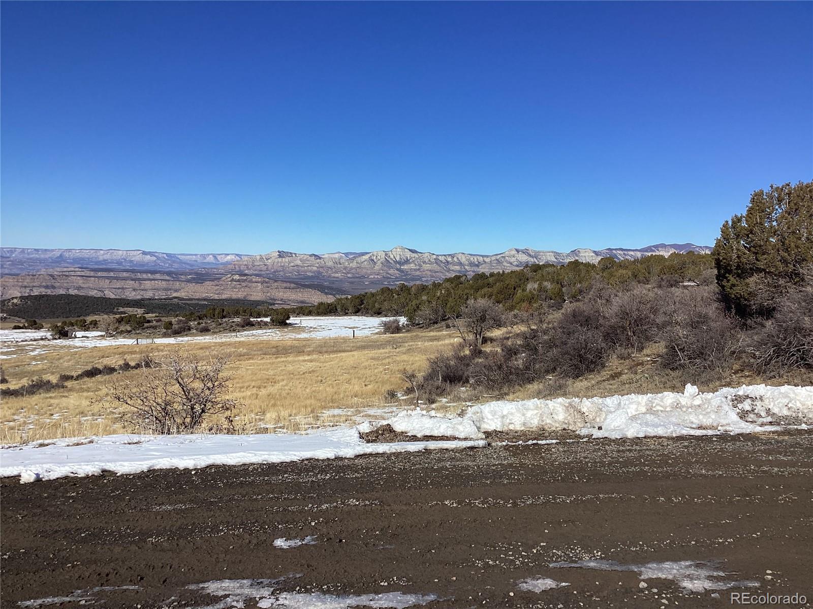 9073-54 54 7/10 Road Molina, CO 81646 - Photo 7 of 32