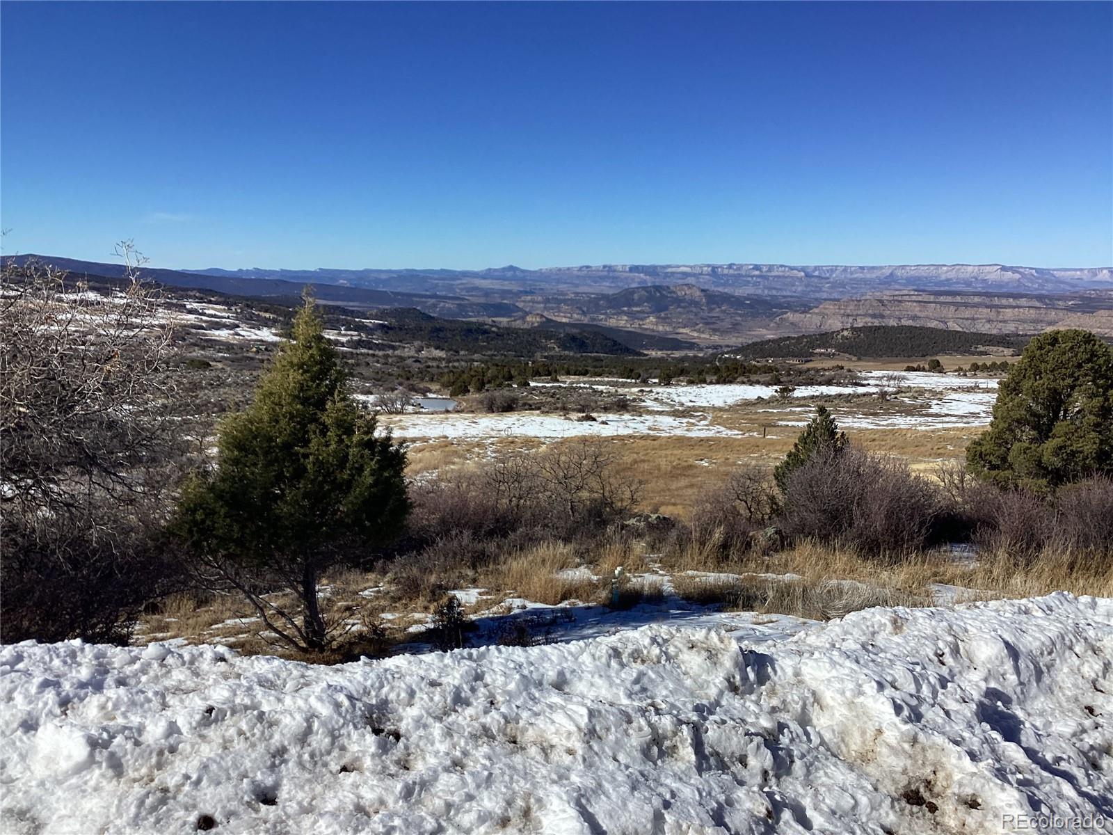 9073-54 54 7/10 Road Molina, CO 81646 - Photo 10 of 32