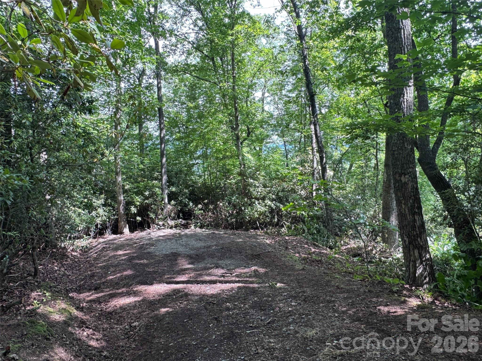 10 A Reserve Road Pisgah Forest, NC 28768 - Photo 3 of 33