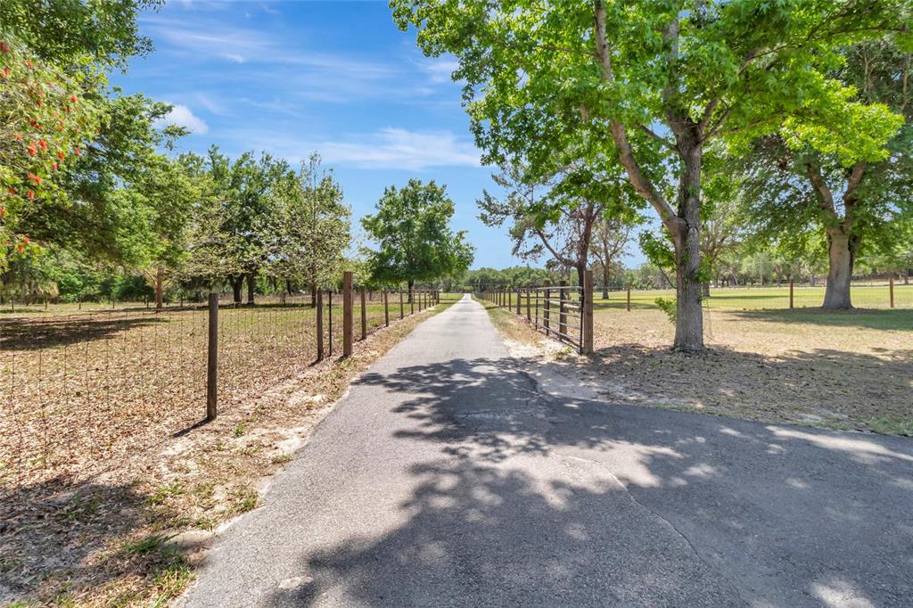 12305 Howey Cross Road Clermont, FL 34715 - Photo 58 of 66