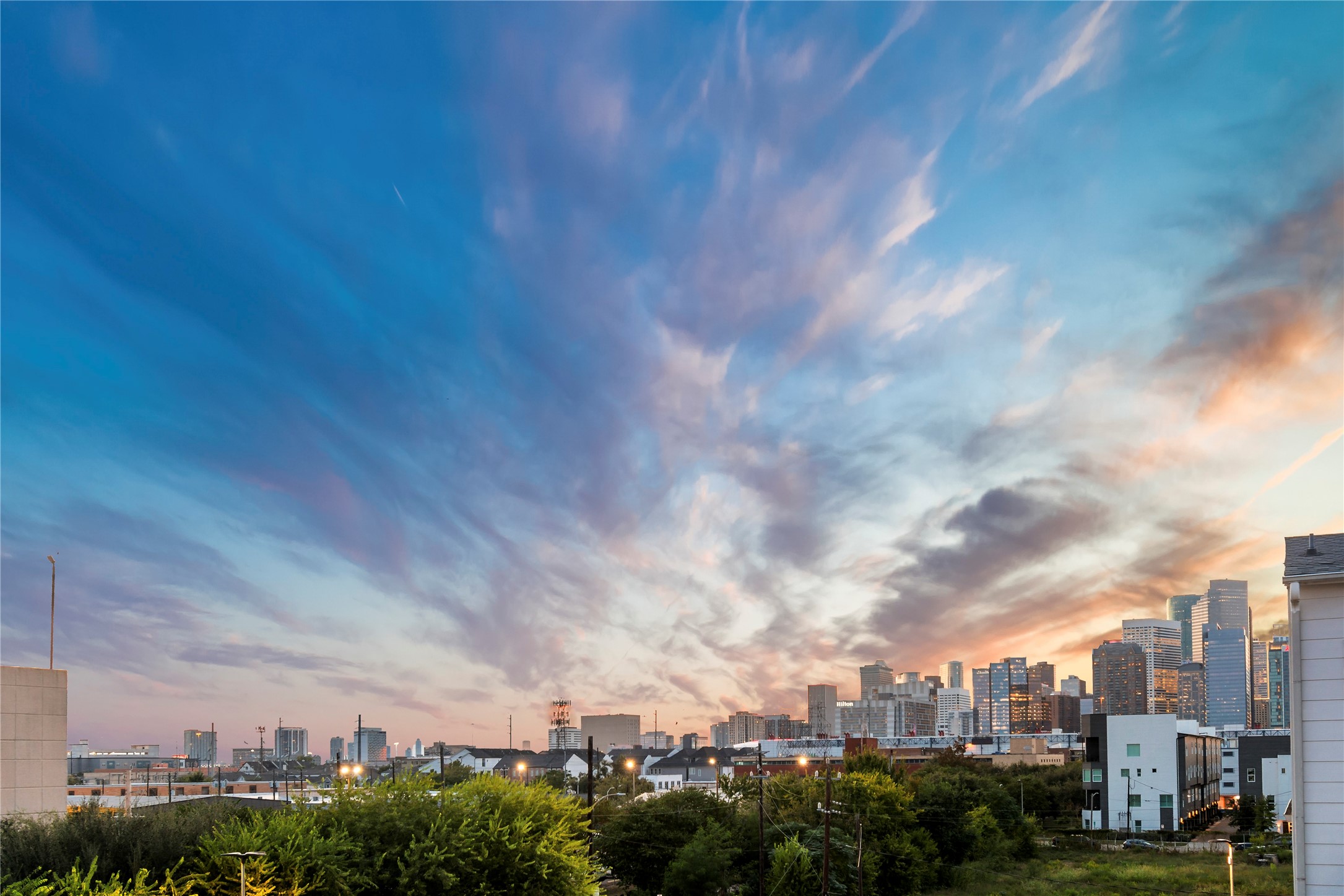 808 Paige Street Houston, TX 77003 - Photo 3 of 23 Experience breathtaking skyline views from the rooftop balcony of this spacious and elegant home, perfect for modern living.