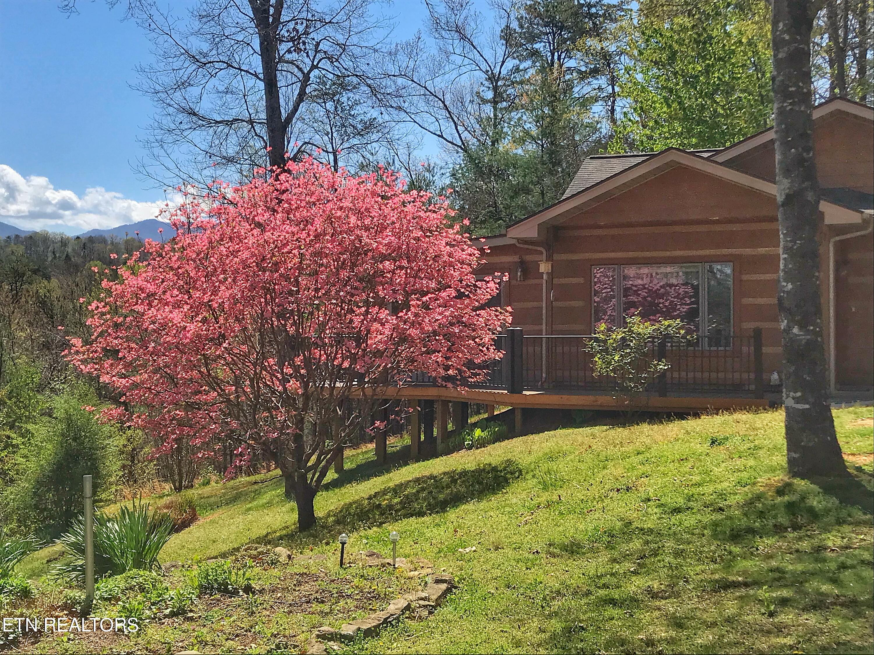 427 Gold Road Cosby, TN 37722 - Photo 16 of 46 IMG_7844 2