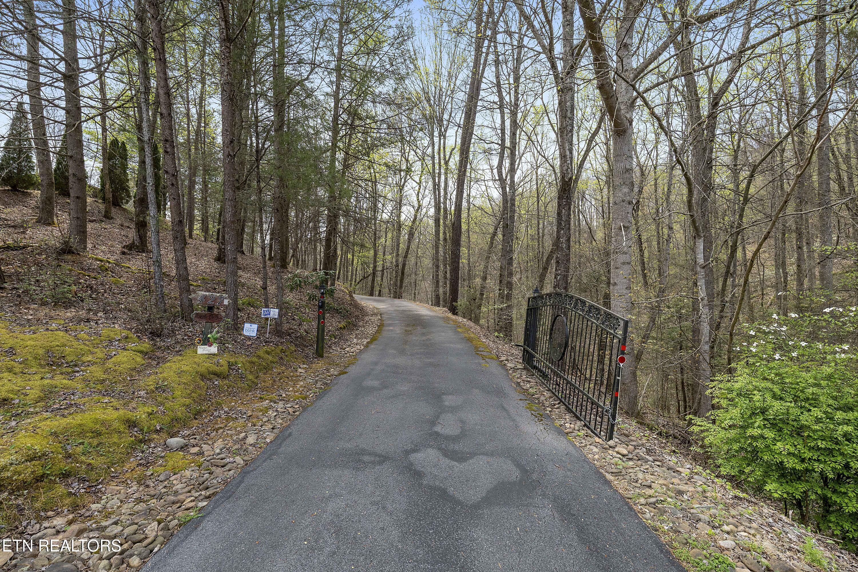 427 Gold Road Cosby, TN 37722 - Photo 17 of 46 L40A8081