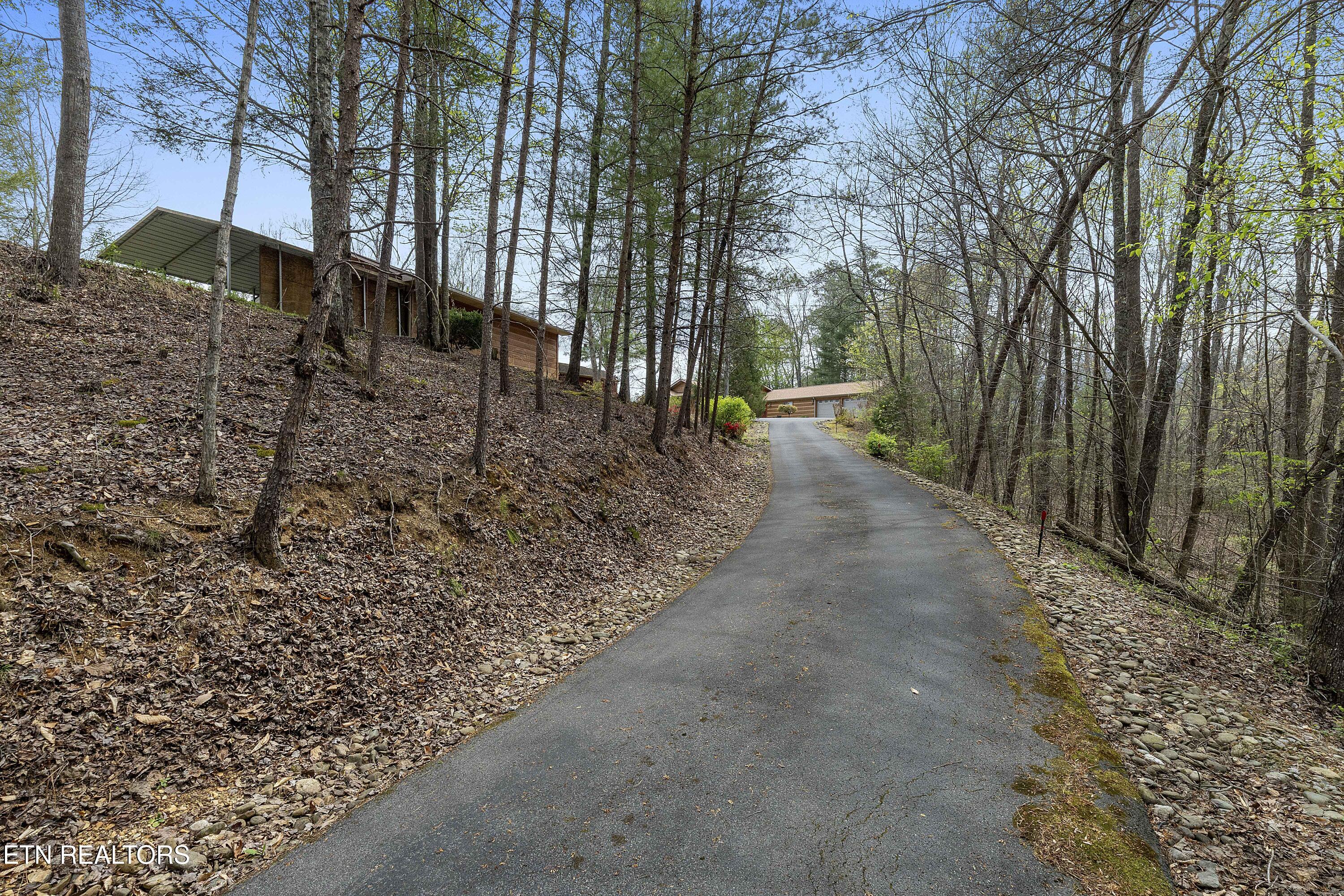 427 Gold Road Cosby, TN 37722 - Photo 18 of 46 L40A8084