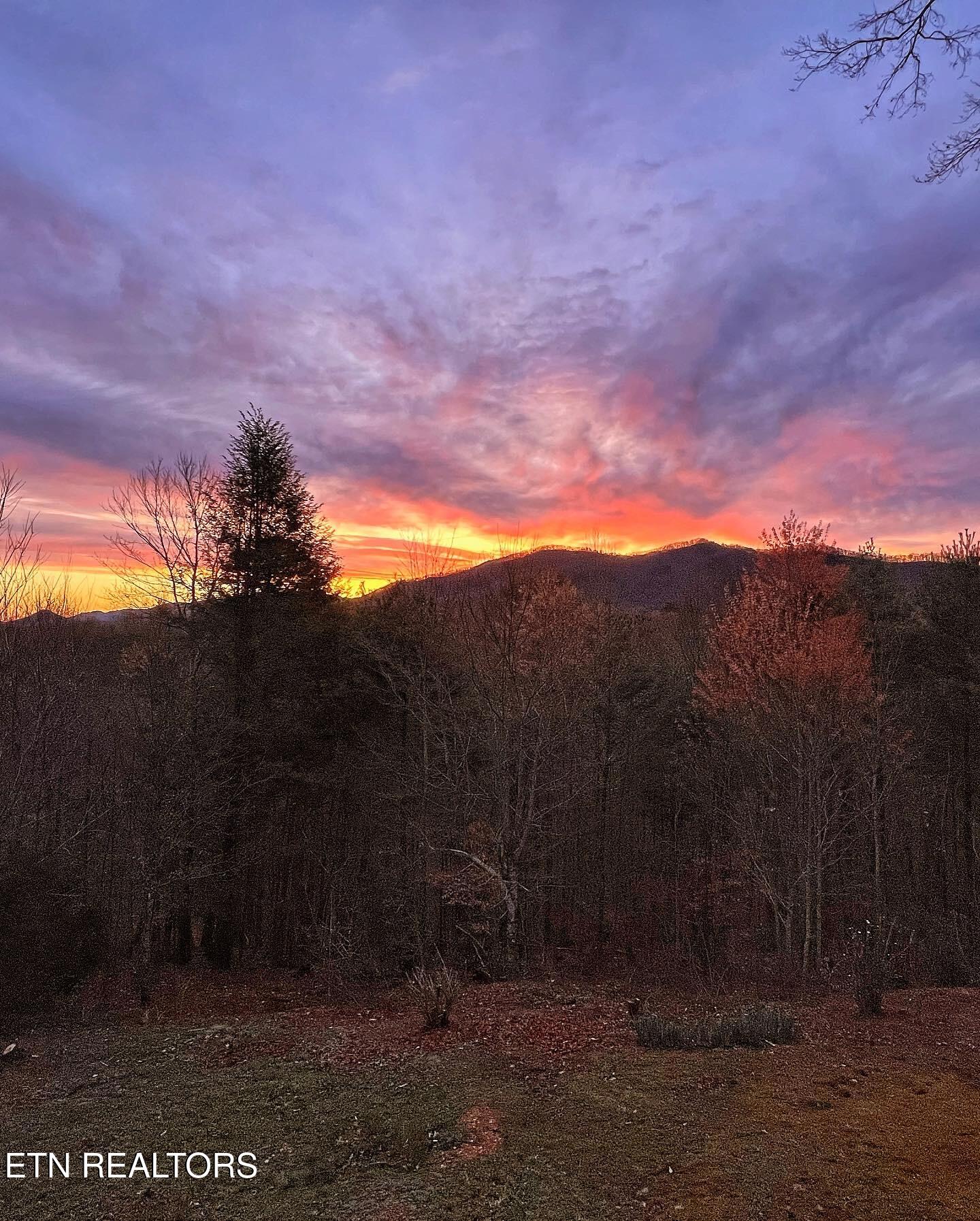 427 Gold Road Cosby, TN 37722 - Photo 31 of 46 0519755D-9B04-4624-A415-BEF26F4A79D7