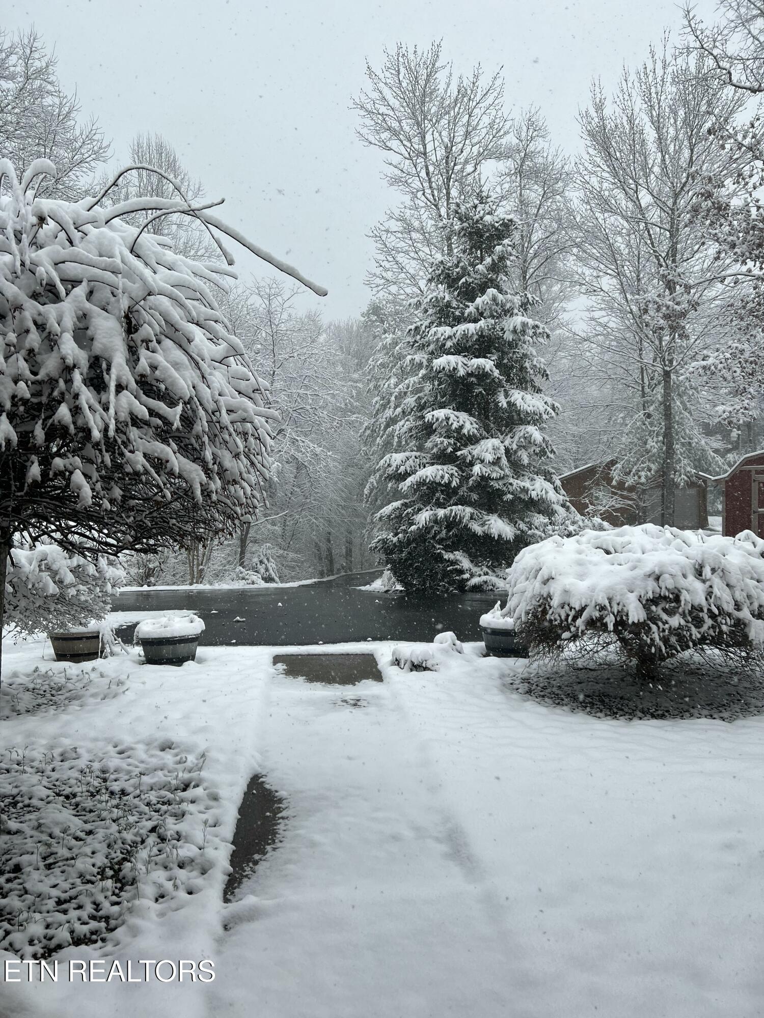 427 Gold Road Cosby, TN 37722 - Photo 32 of 46 IMG_0301