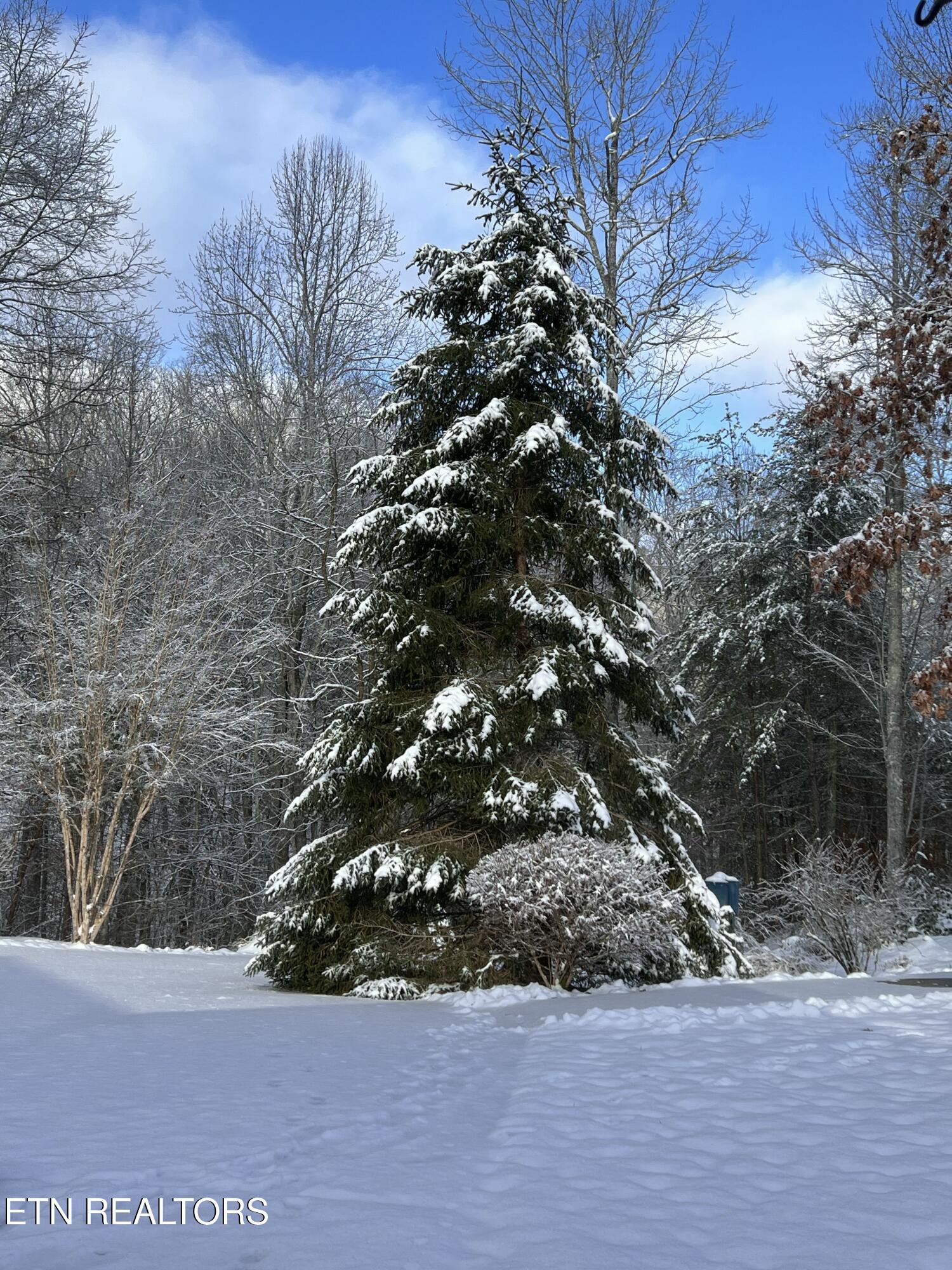 427 Gold Road Cosby, TN 37722 - Photo 34 of 46 IMG_3952