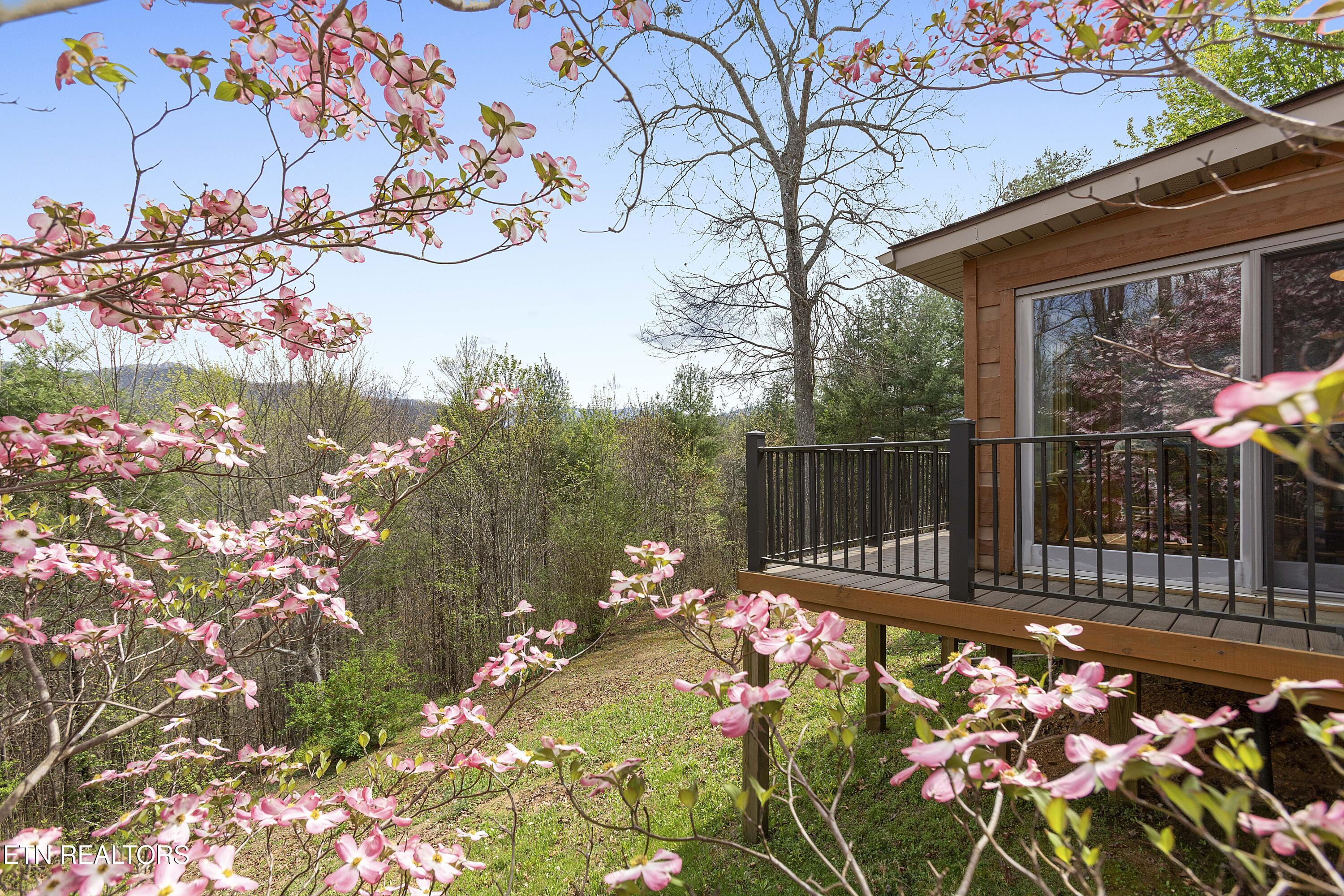 427 Gold Road Cosby, TN 37722 - Photo 8 of 46 IMG_8203