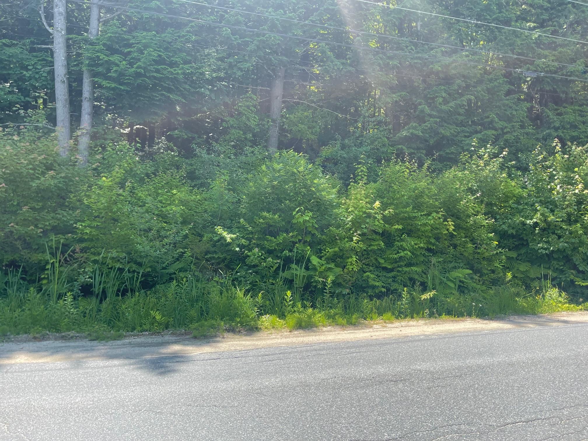 Brook Road Grantham, NH 03753 - Photo 3 of 10