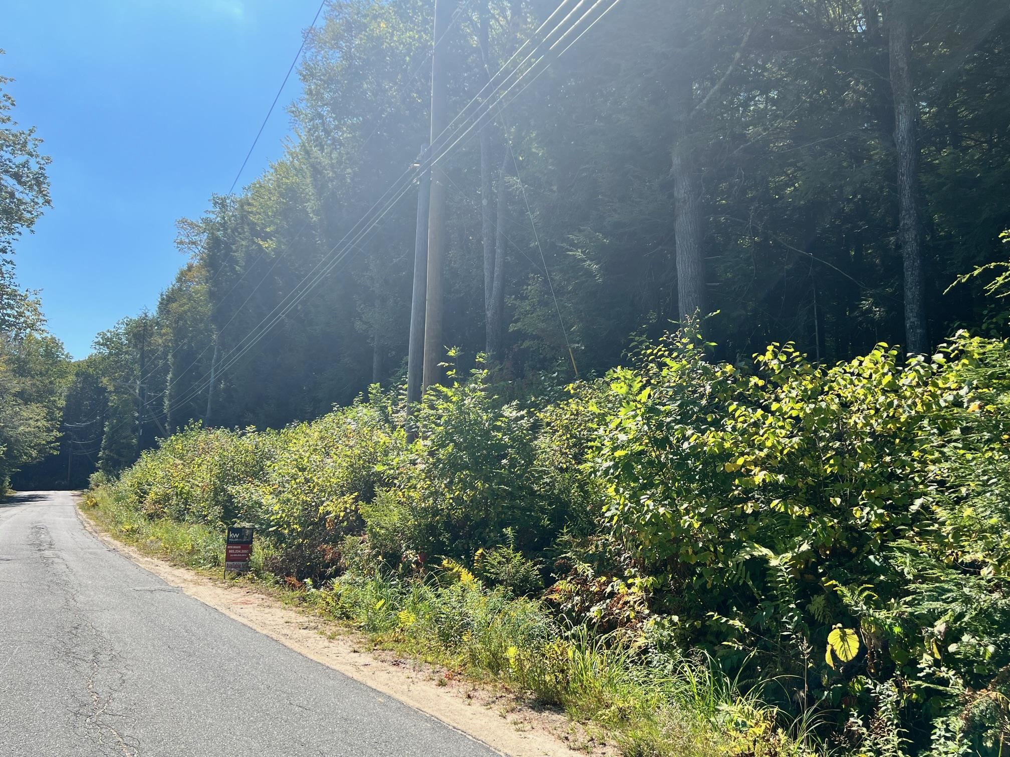 Brook Road Grantham, NH 03753 - Photo 9 of 10