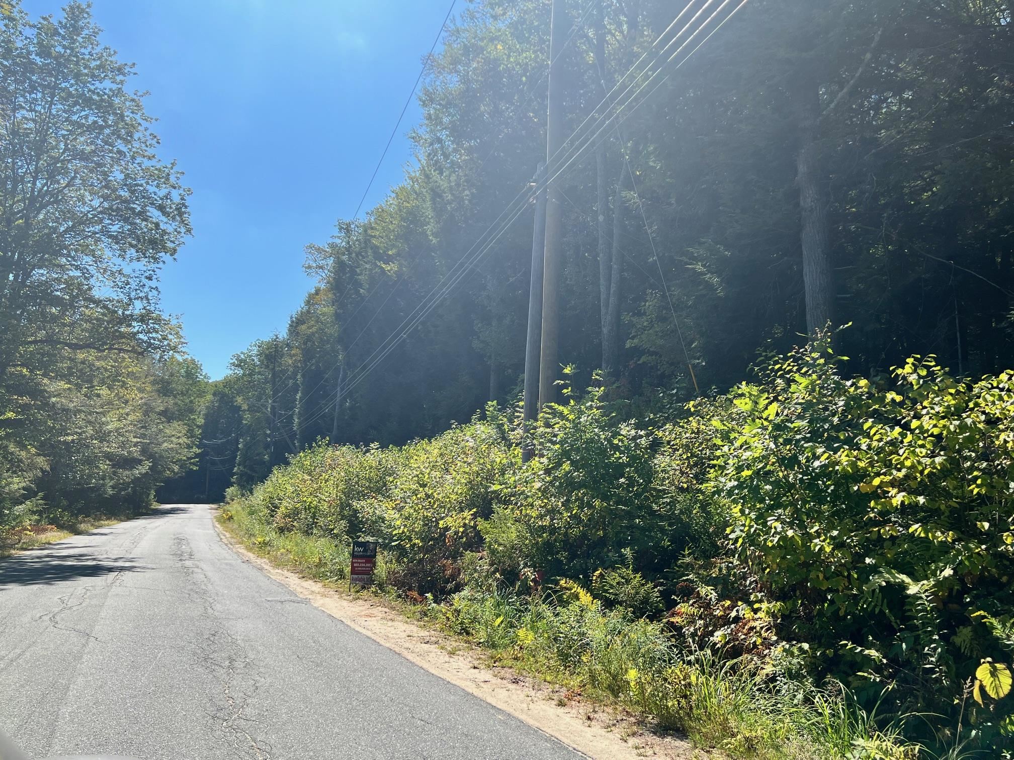 Brook Road Grantham, NH 03753 - Photo 10 of 10