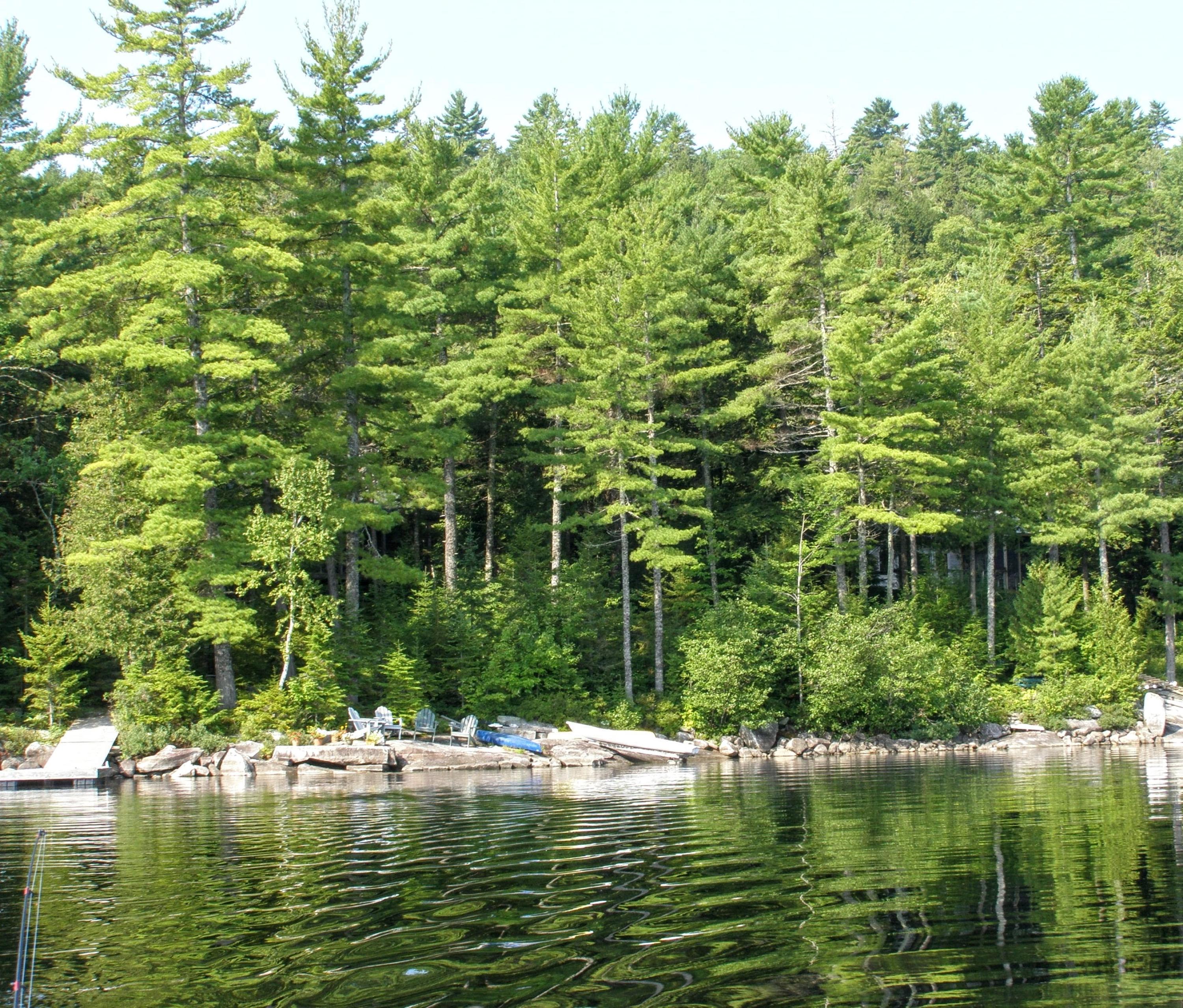 162 Tim's Cove Road Willimantic, ME 04443 - Photo 34 of 43 view from water