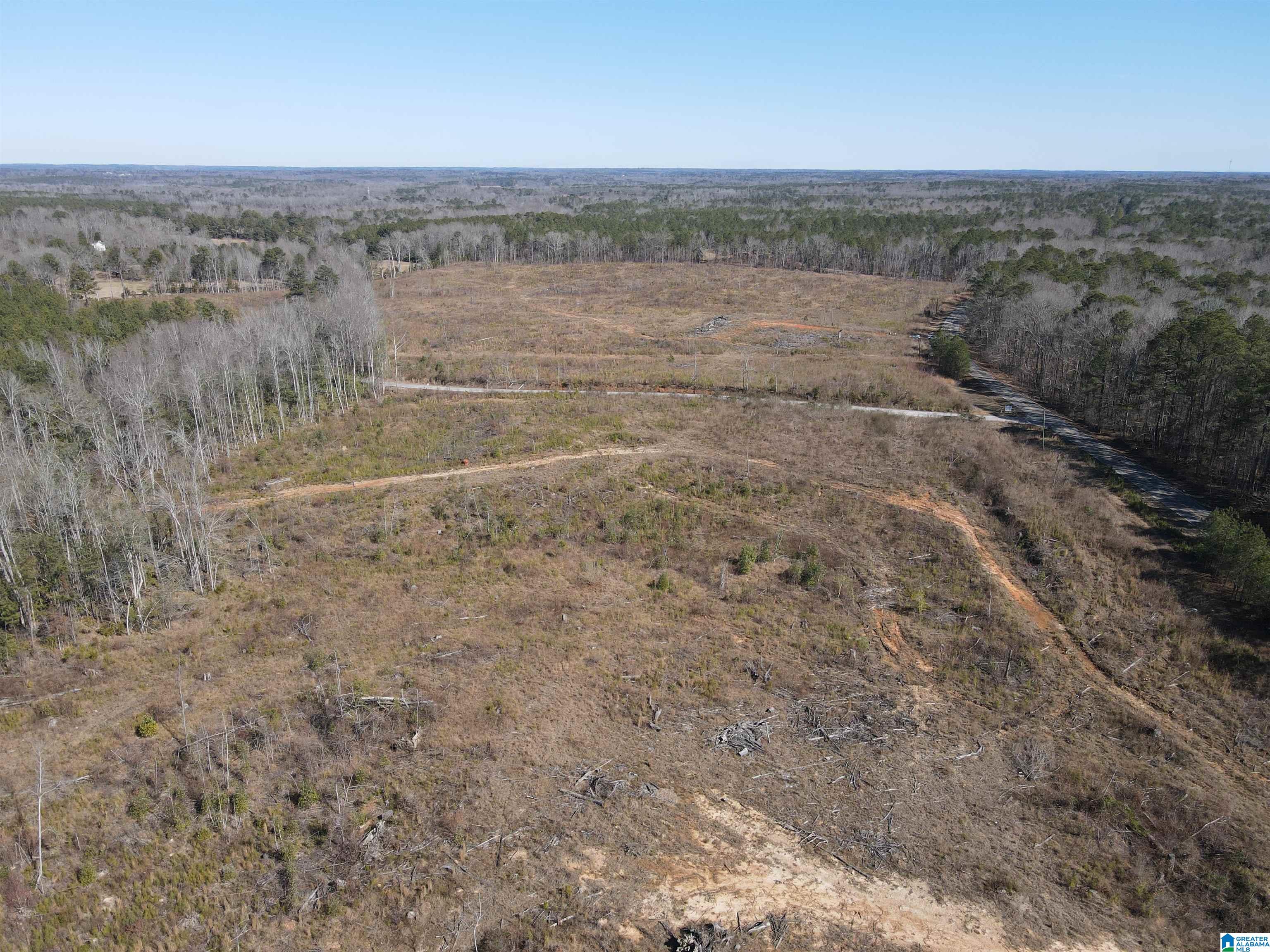 1 County Road 36, Unit 1 Randolph, AL 36792 - Photo 4 of 6