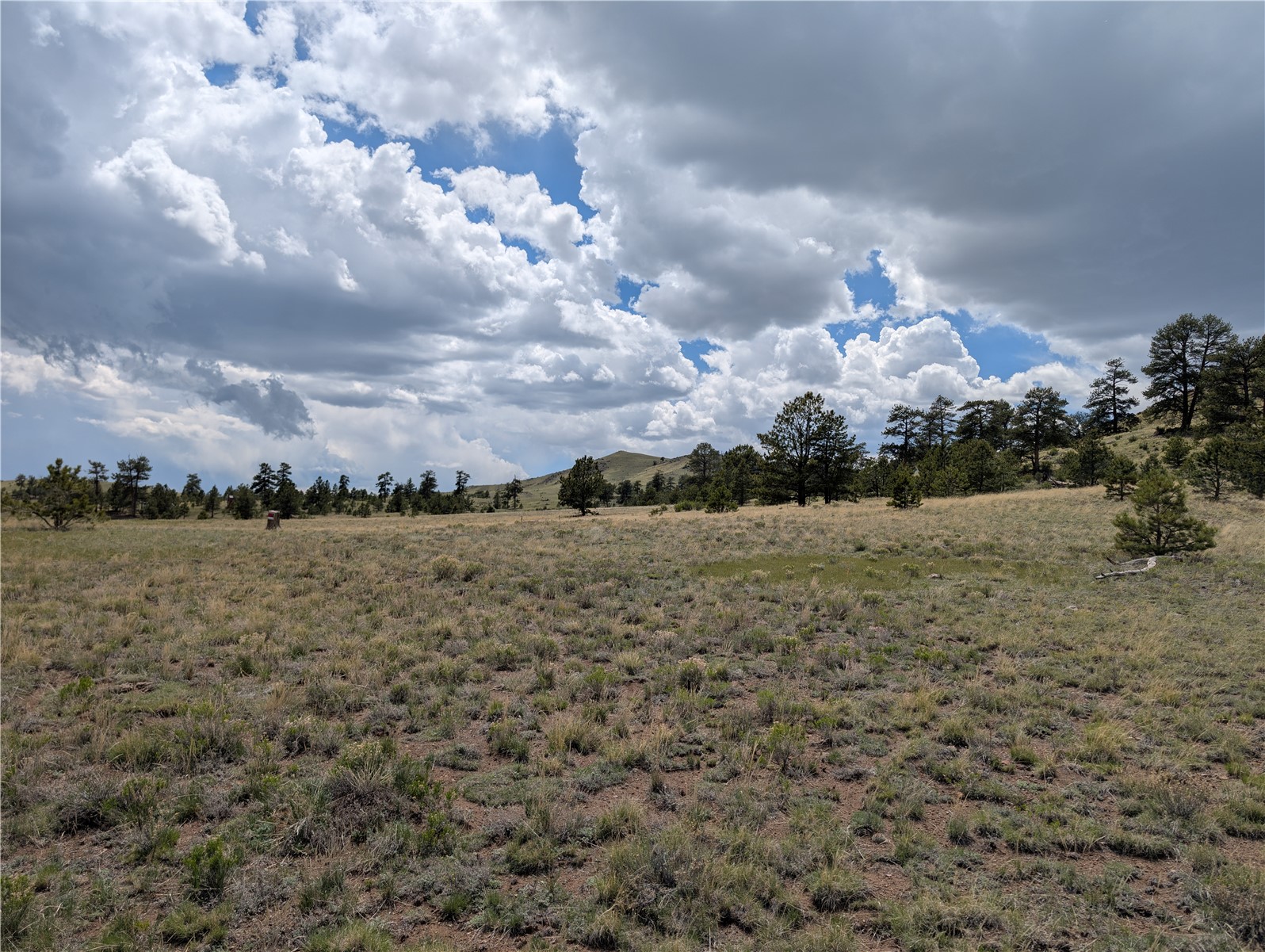 0 Black Beaver Road Hartsel, CO 80449 - Photo 26 of 28 Gallery Image 26