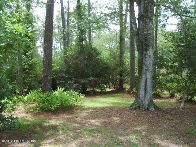 35119 Braddock Road Callahan, FL 32011 - Photo 4 of 19 Beautiful park-like setting