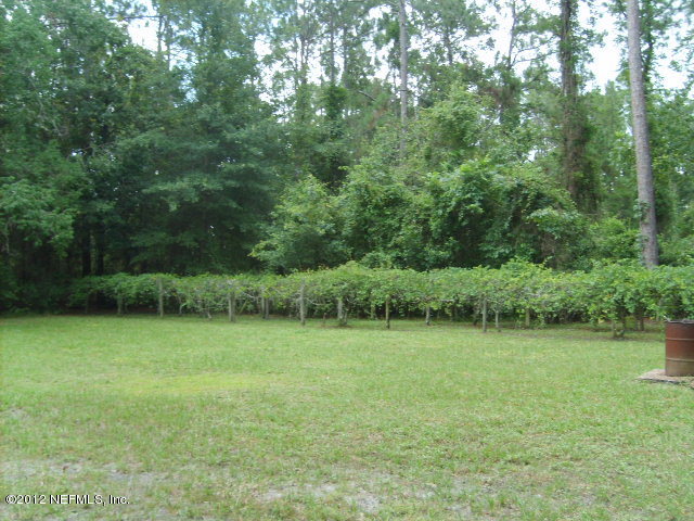35119 Braddock Road Callahan, FL 32011 - Photo 5 of 19 Grapevines