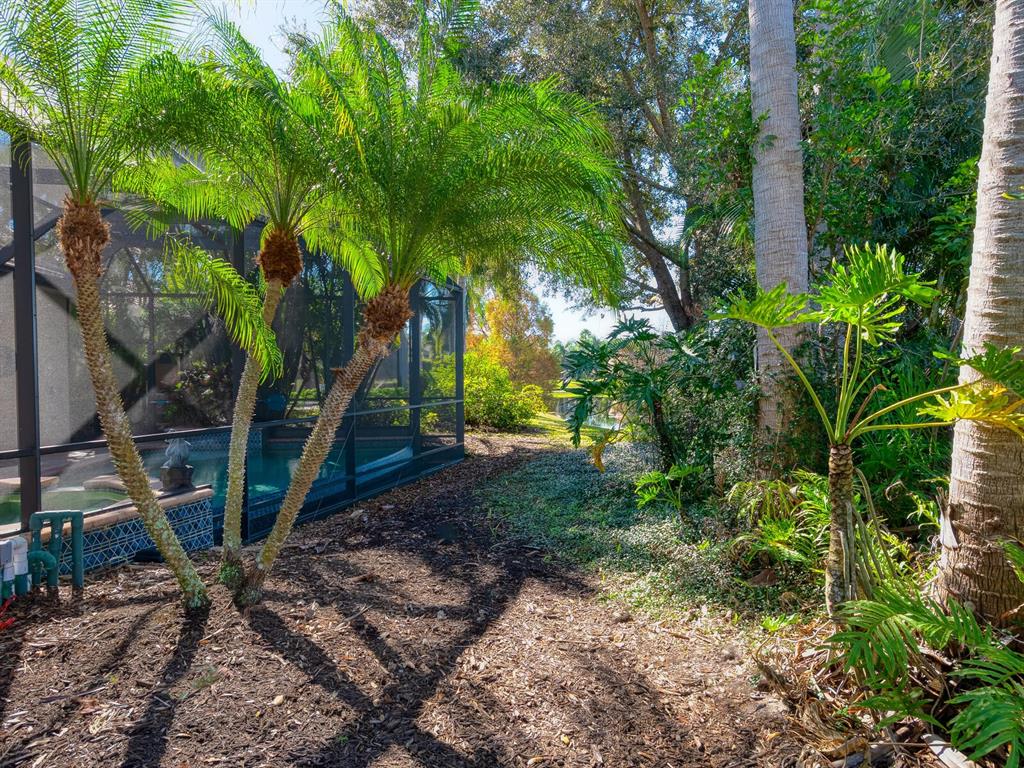 13911 Siena Loop Lakewood Ranch, FL 34202 - Photo 48 of 63 a backyard of a house with lots of green space