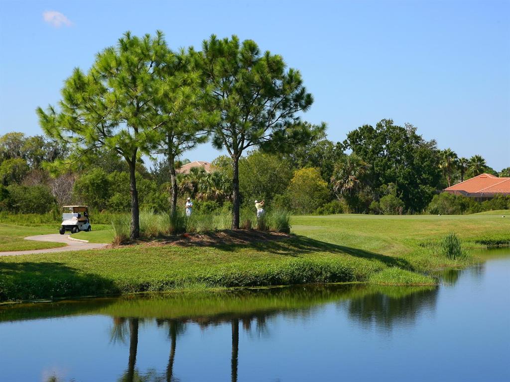 13911 Siena Loop Lakewood Ranch, FL 34202 - Photo 62 of 63 a view of a lake with a yard and large trees