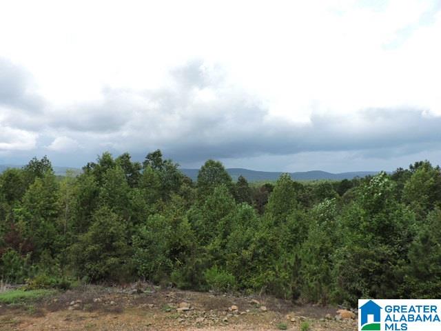 1328 Good Hope Delta Road Delta, AL 36258 - Photo 3 of 24