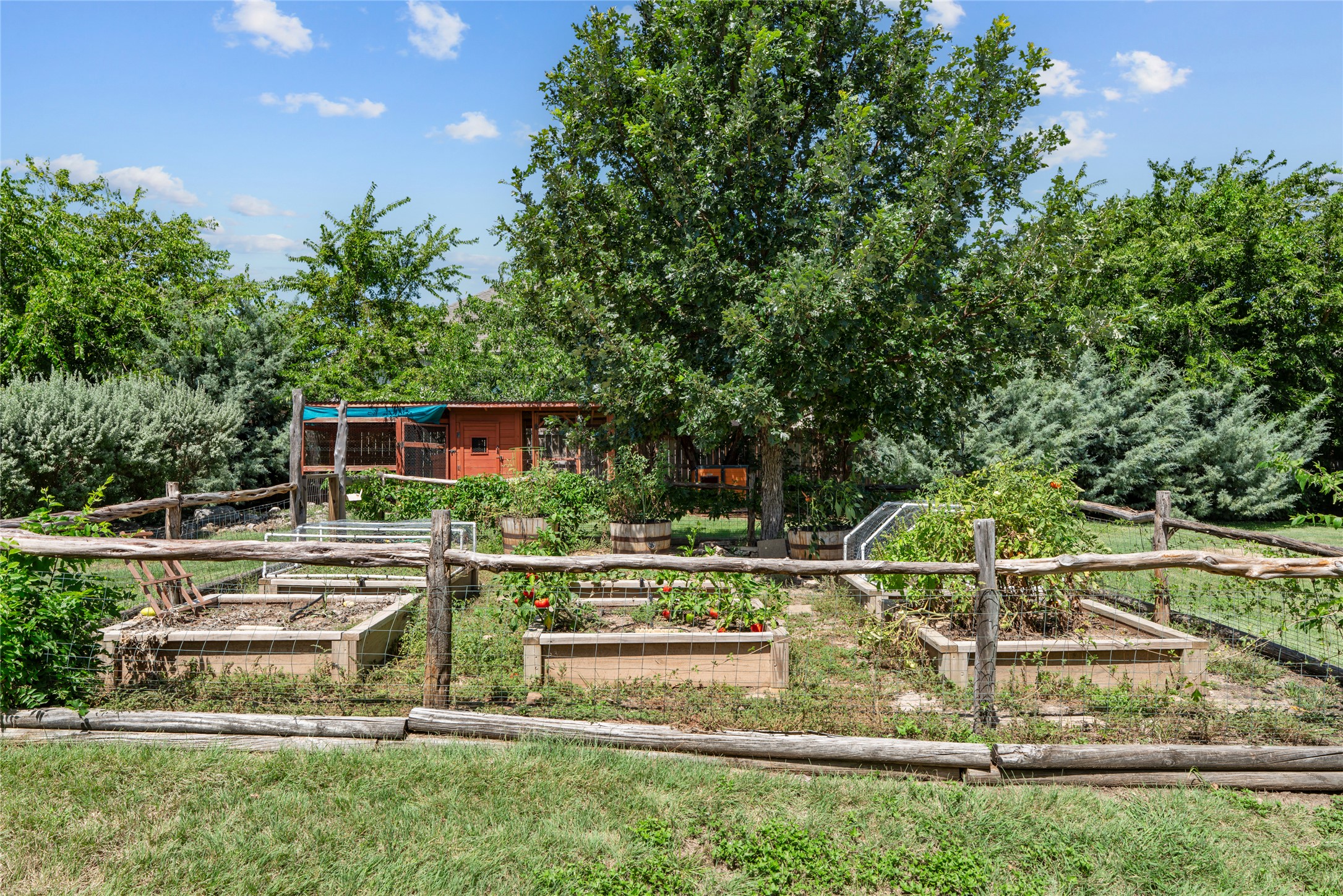 221 Chaparral Road Georgetown, TX 78628 - Photo 26 of 28 Fenced garden with raised beds
