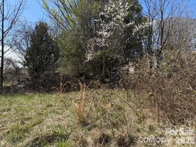 7 Pressley Branch Road Arden, NC 28704 - Photo 3 of 3